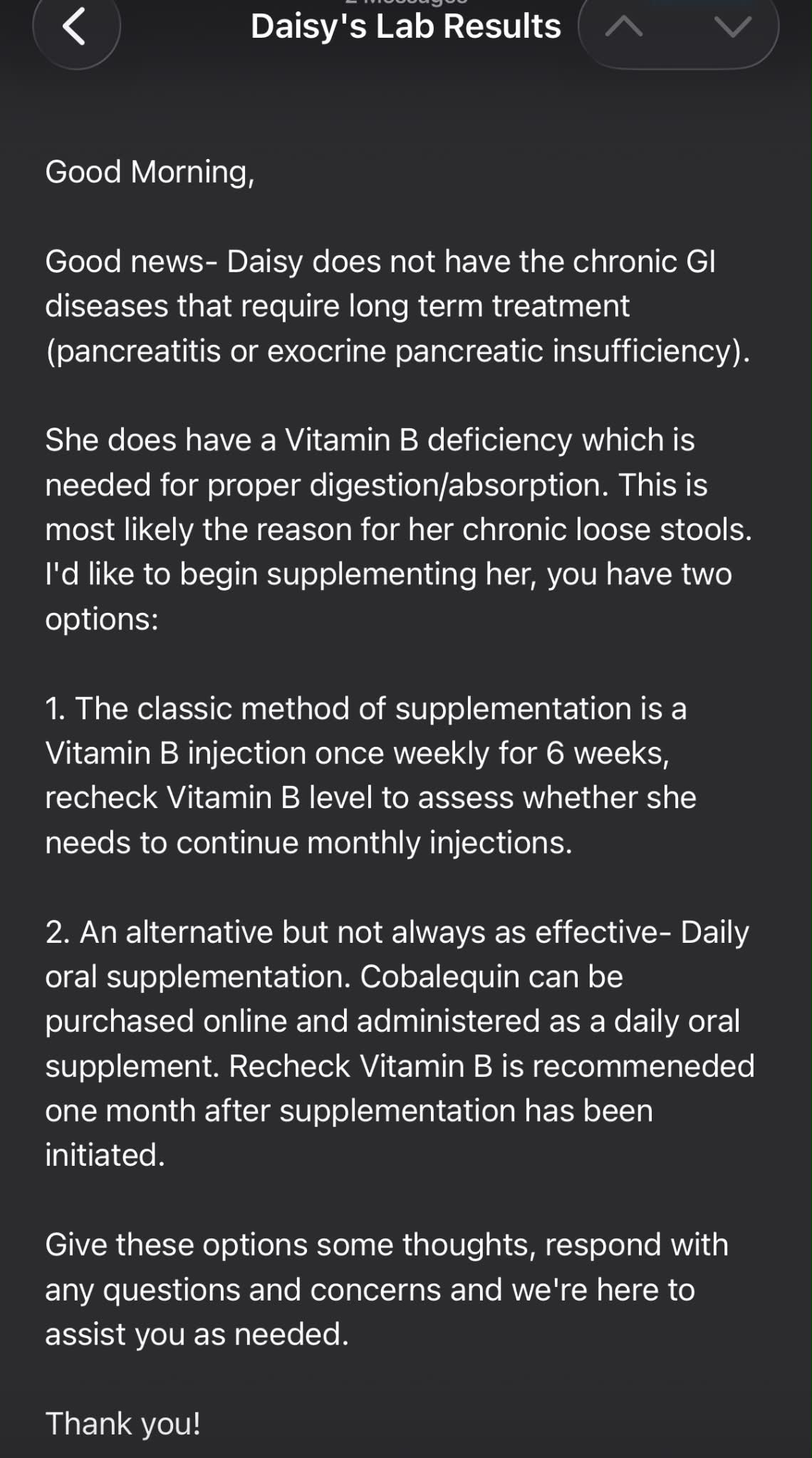 What are holistic options for supporting B12 and folate deficiency in pets?