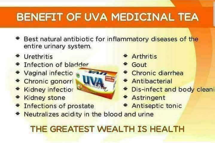 WHAT CAUSES A GOITER? One... - Mye UVA Medicinal Tea Iloilo