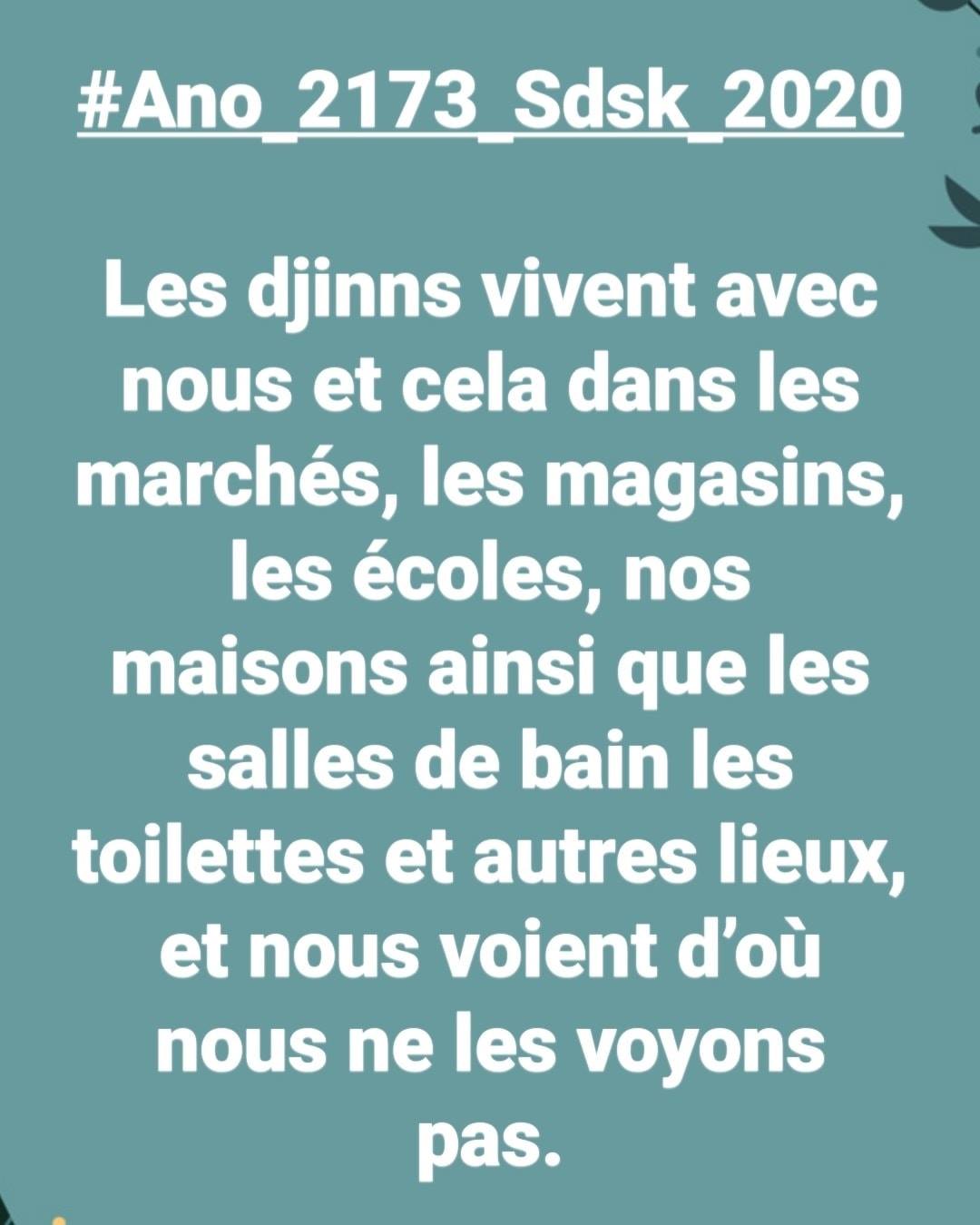 Ma Femme A Un Djinn Amoureux