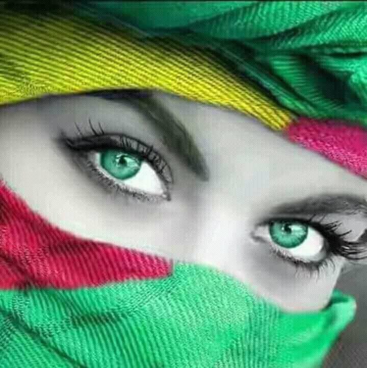 Md Rashed Rashed