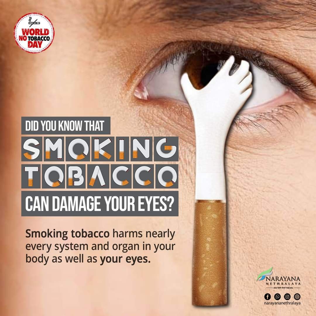 Dr - World No Tobacco Day! Did you know that smoking tobacco can damage ...
