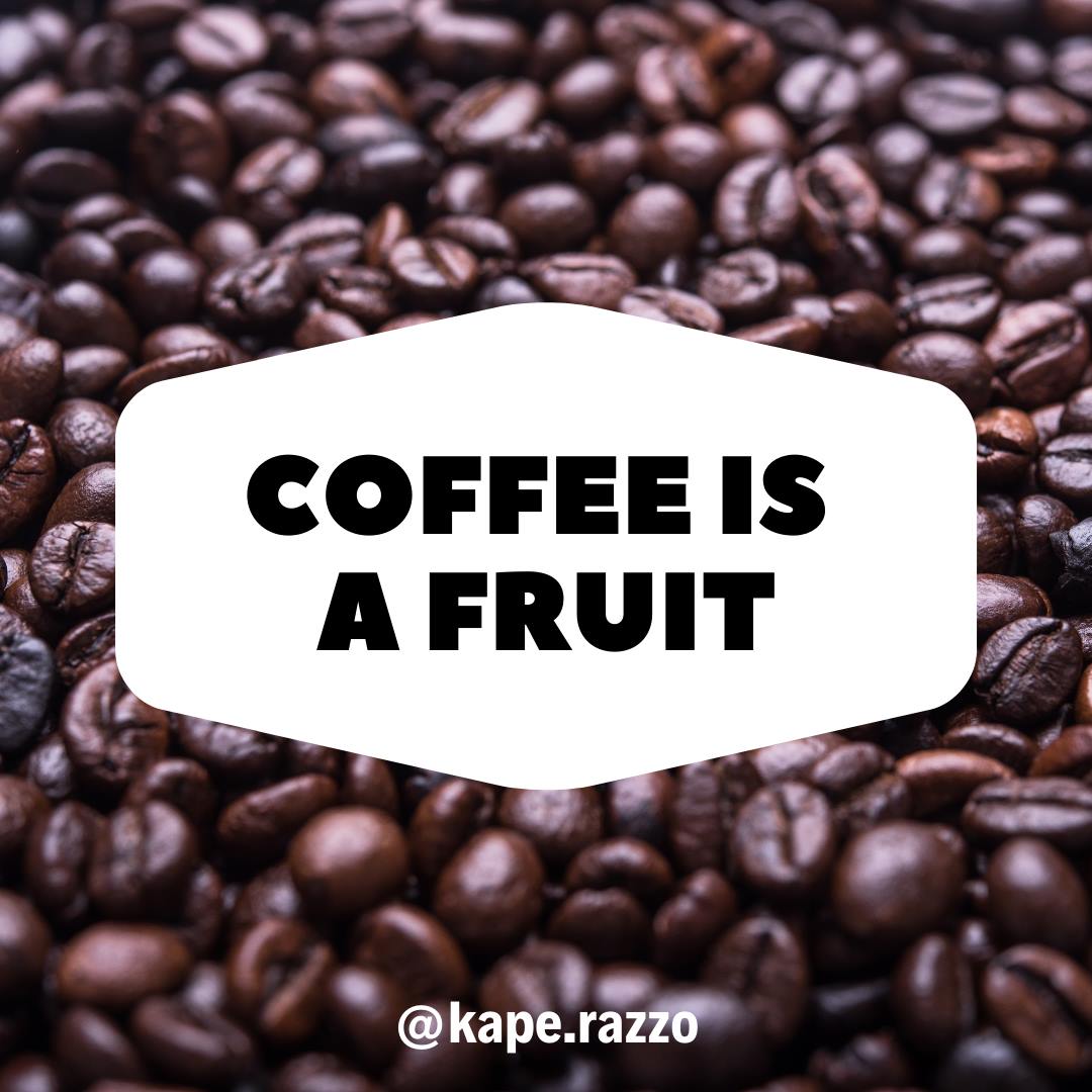 Kape Razzo - Did you know? Coffee beans grow on a bush....