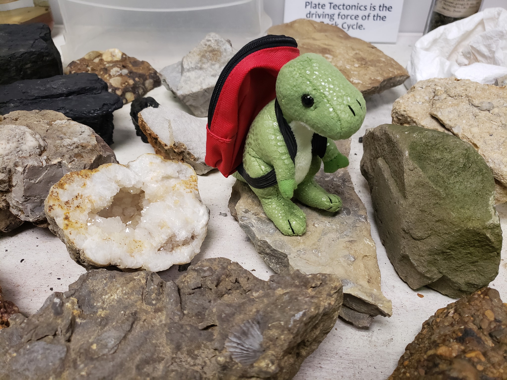 Meet our new museum mascot, his name is Ty. Ty will be having some ...