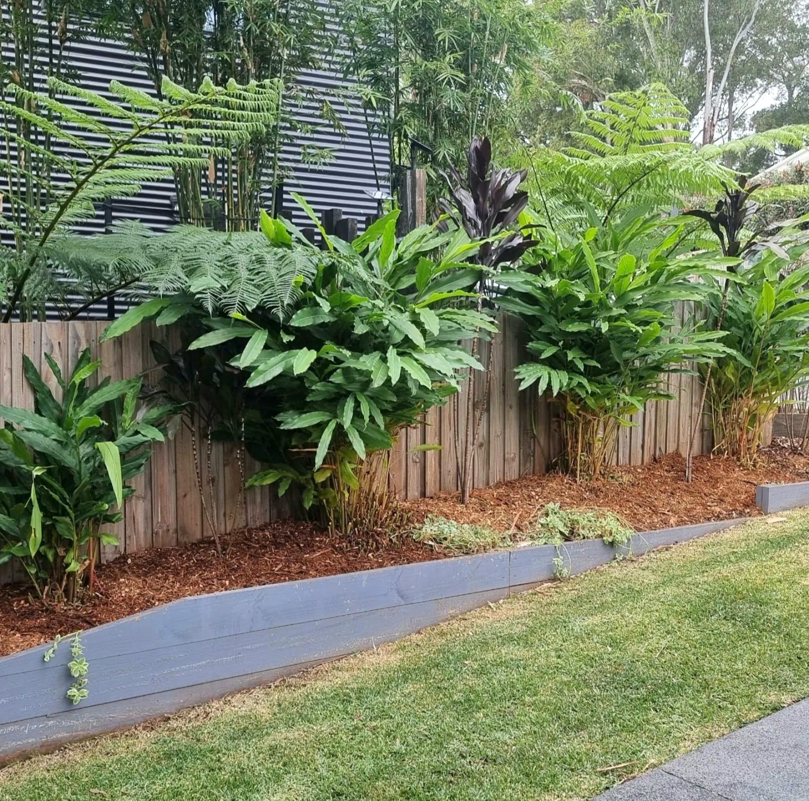 Nexgen Landscaping Pty Ltd | Gold Coast QLD