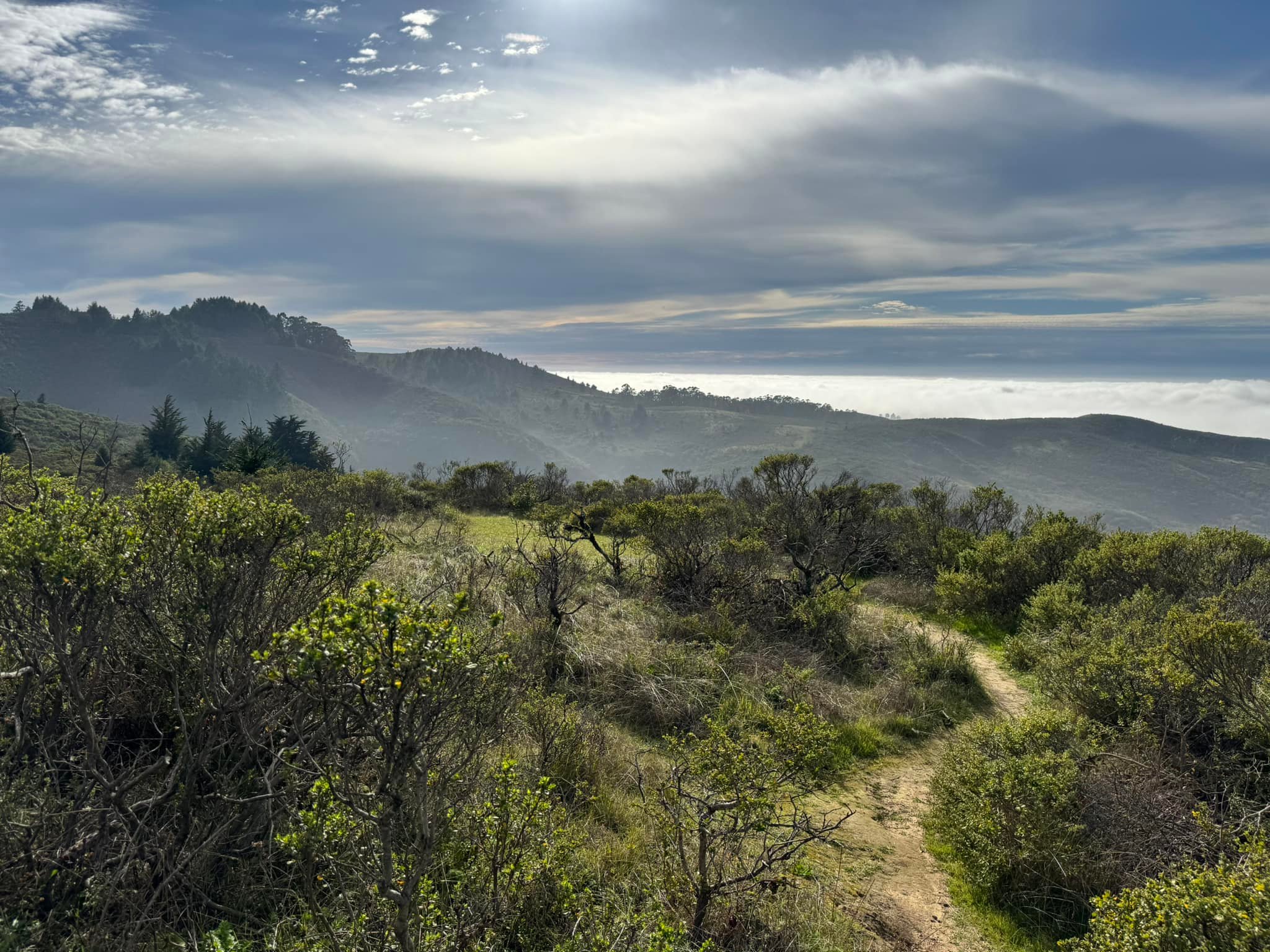 New trails being forged off Skyline Drive in Redwood City