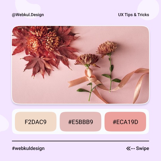 Webkul Design