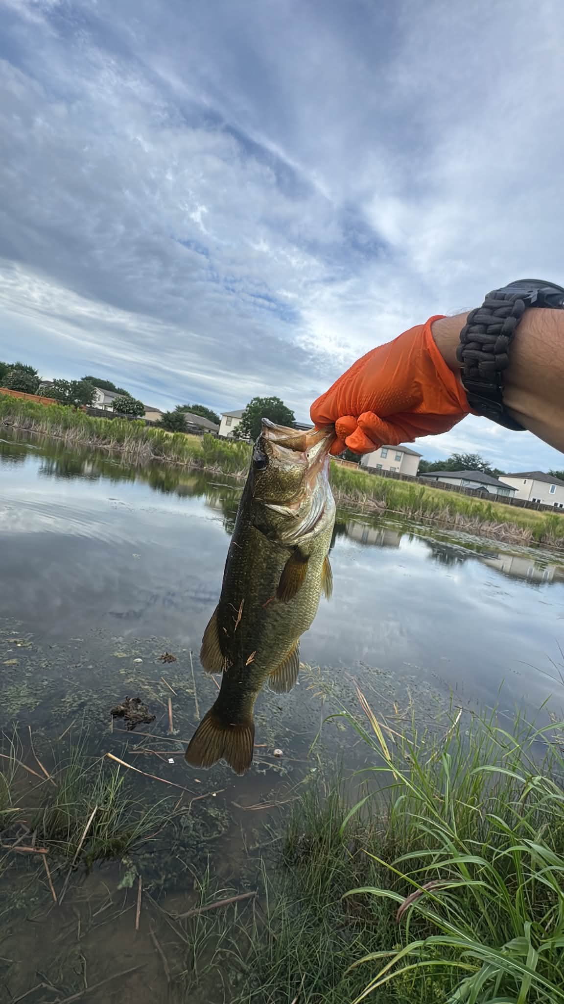 best tangle-free fishing reel Deluxe Rod The reel features a Mul-T-Bar Changed How Anglers Model:MK-30II size-4-0