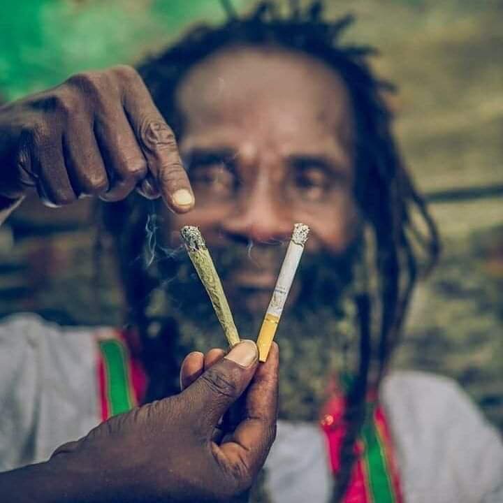 Reggae-Rasta Romania