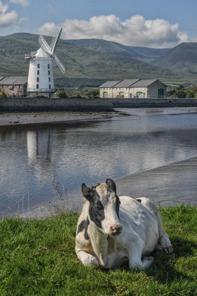 Love Tralee - ️ Graham Davies, took this lovely photo of...