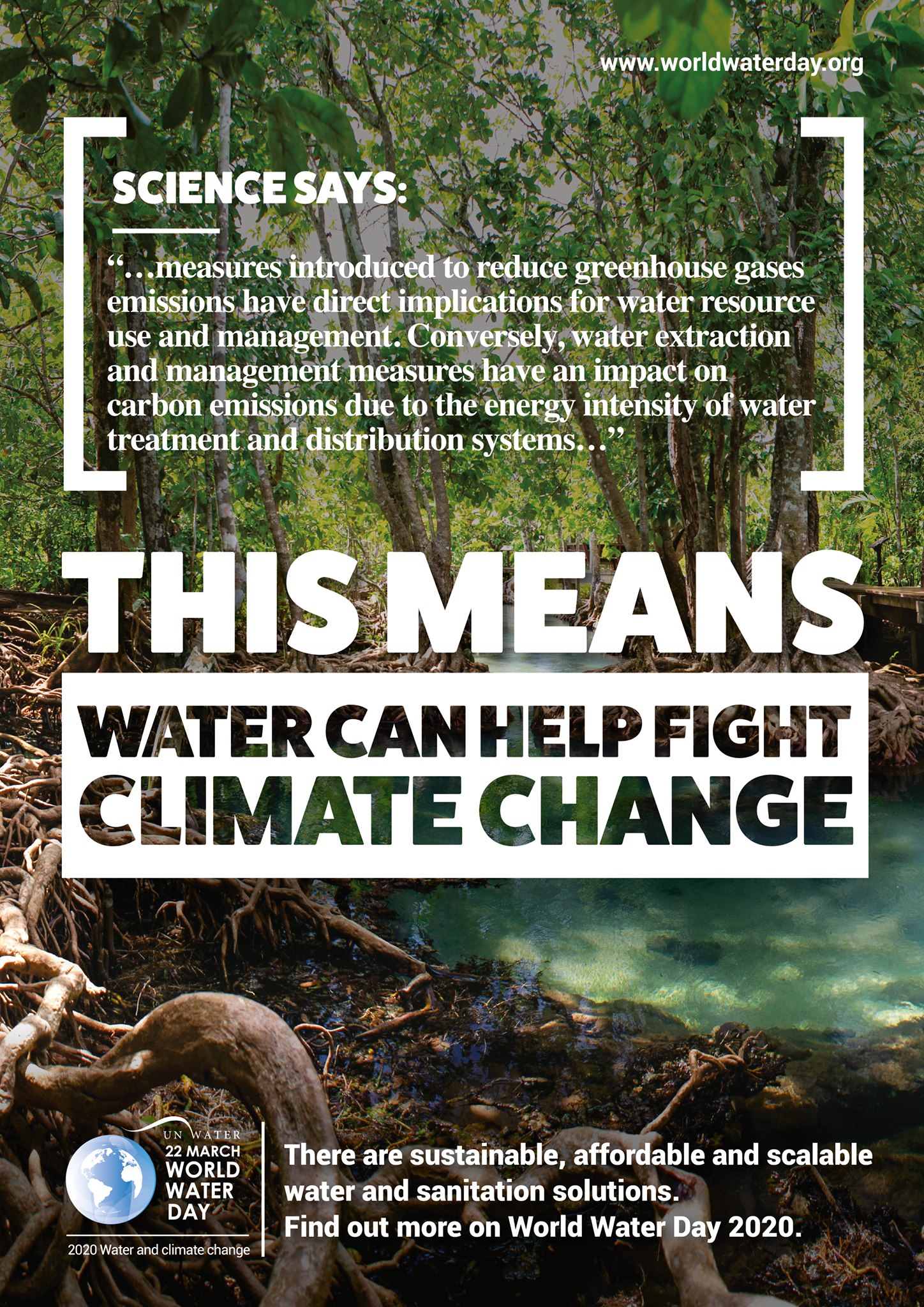 Water can help fight climate change. 💧Wetlands soak up carbon dioxide ...
