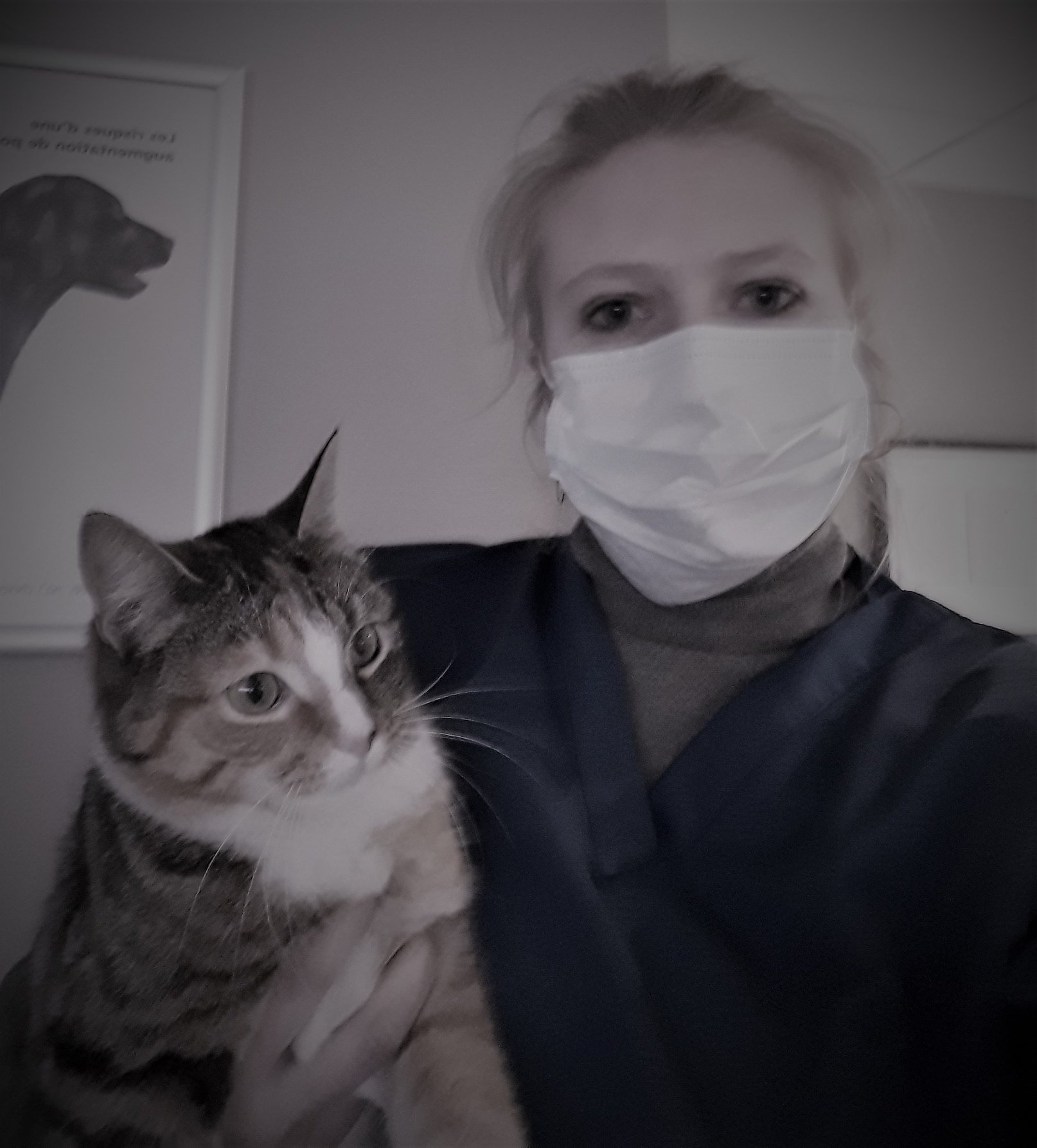 📝 Info sur le... - Centre Vétérinaire Vet'Santé - Anthée | Facebook