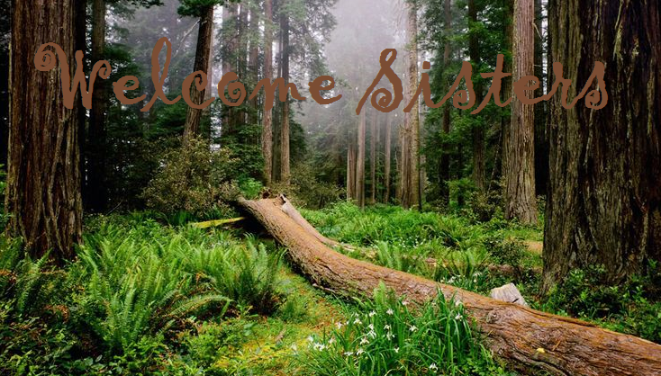 WomanSpirit Rising Retreat