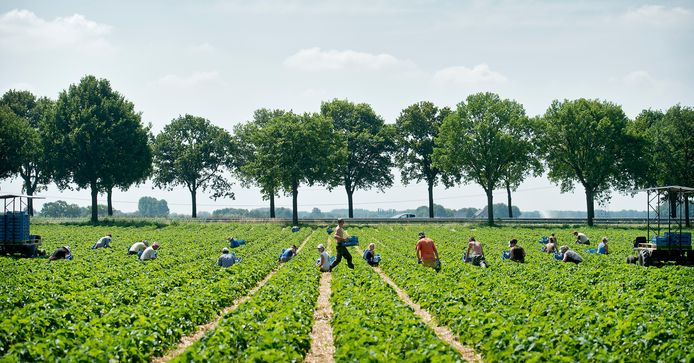 RVA ONEM - 📣 De RVA neemt samen met de andere...