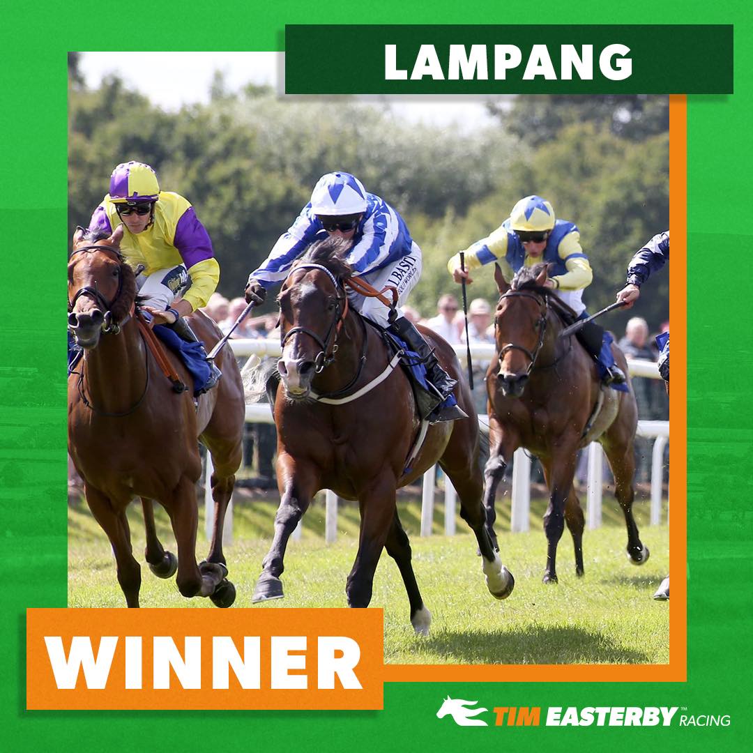 Tim Easterby Racing - 🟢 WINNER! 🟠 LAMPANG wins again, on his first ...