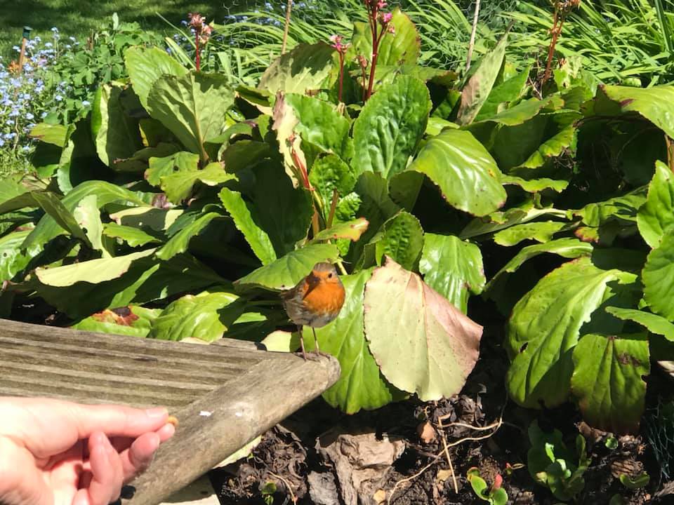 Poppy, our Visitor Experience... - RSPB Bempton Cliffs | Facebook
