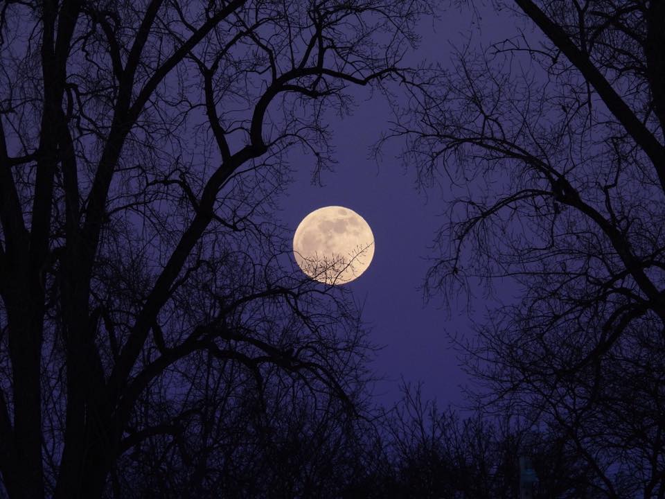 Congratulations to... - Wisconsin Geocaching Association | Facebook