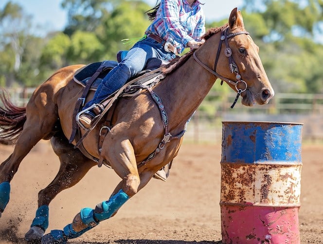 Happy Friday from the WB Ranch!!! We... - WB Ranch Company