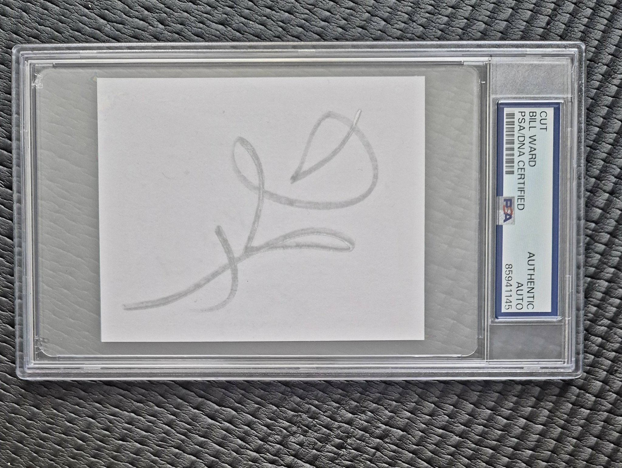 PSA/DNA slabbed rock music legend autograph cuts for sale