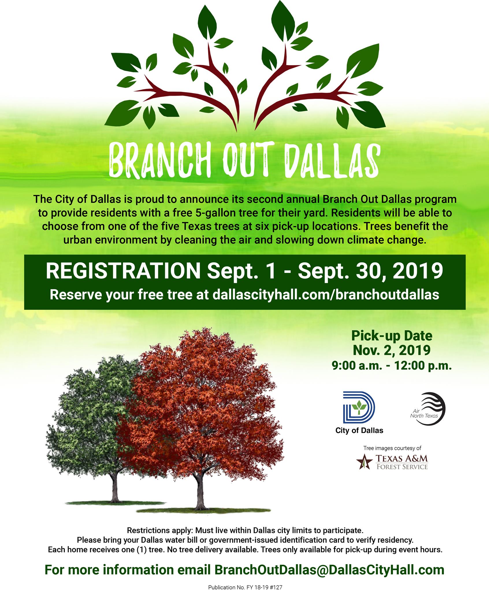 DFW Tree Care | Dallas TX