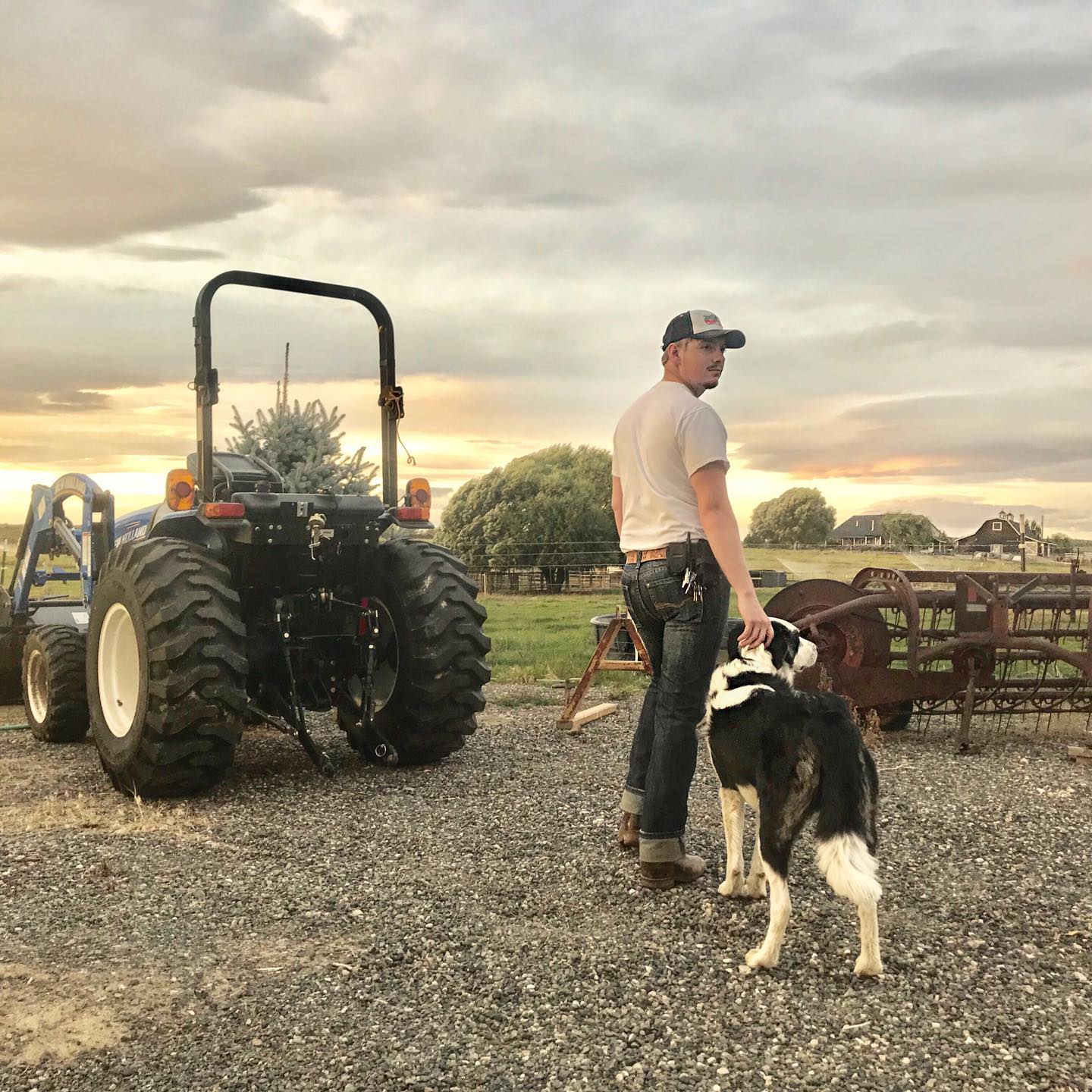 Top Dog Performance, LLC | Chinook MT