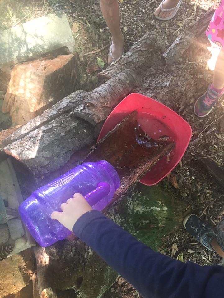 Building a Forrest water... - KIN Outdoor Learning Centre | Facebook