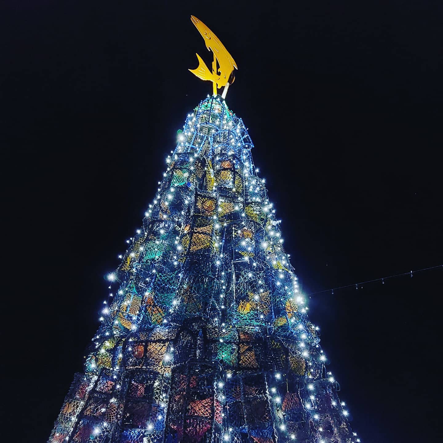 The fishtive tree is... - Brigg View Holiday Apartment Filey | Facebook
