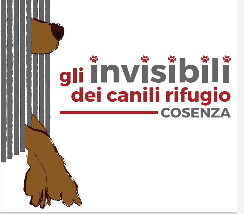 Datemiunazampa - 2024 – ADOTTATO !! NEO GENNAIO 2024; NEO E’ STATO ...