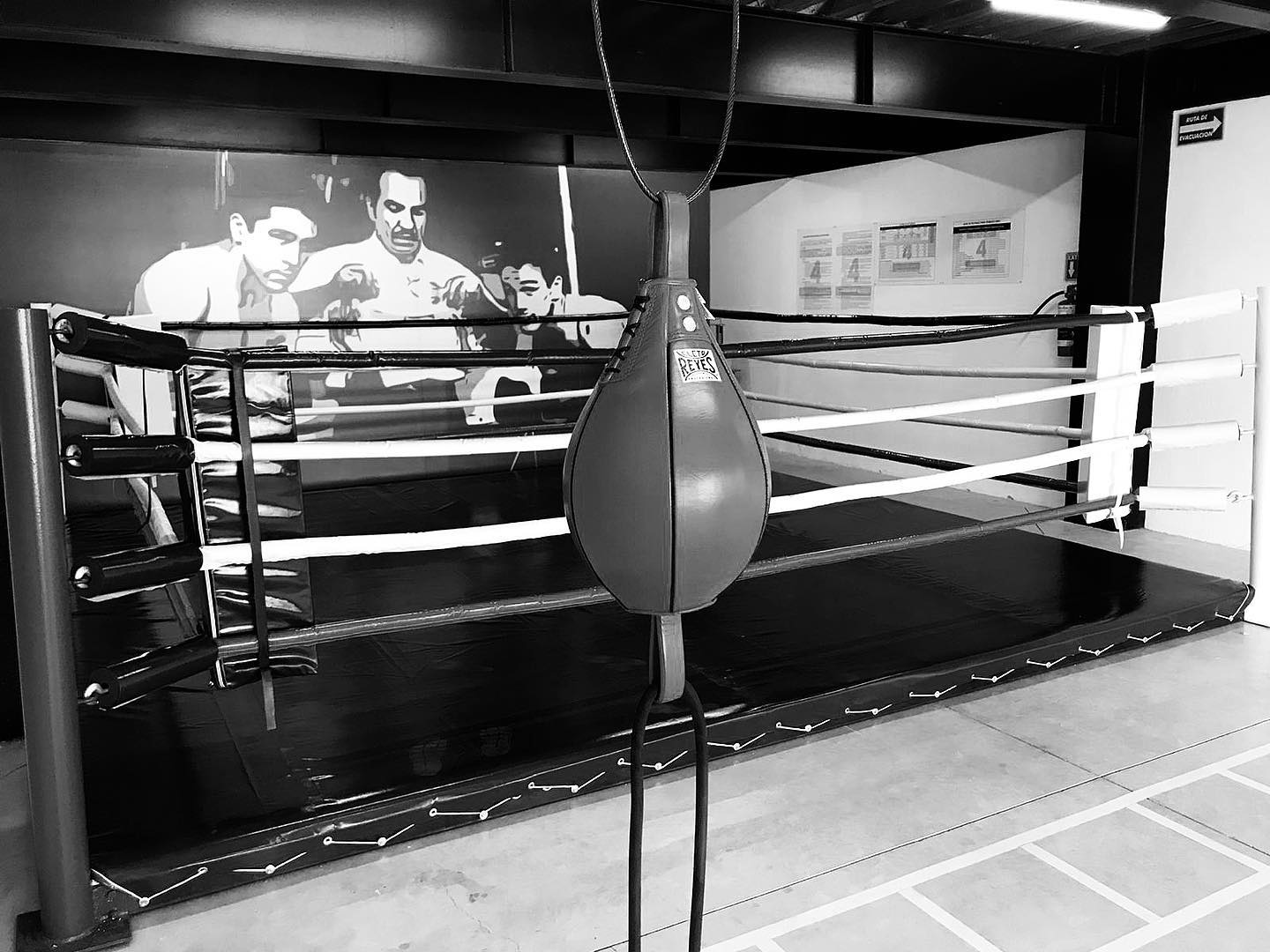 Round 4 Centro de Boxeo