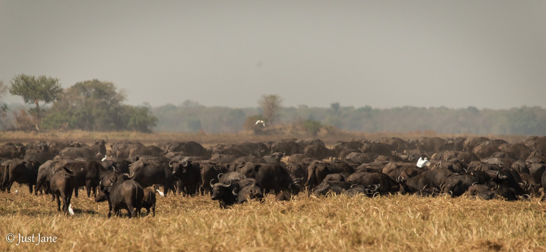 Looking for ways to engage with nature... - Mapunga Bush Camp