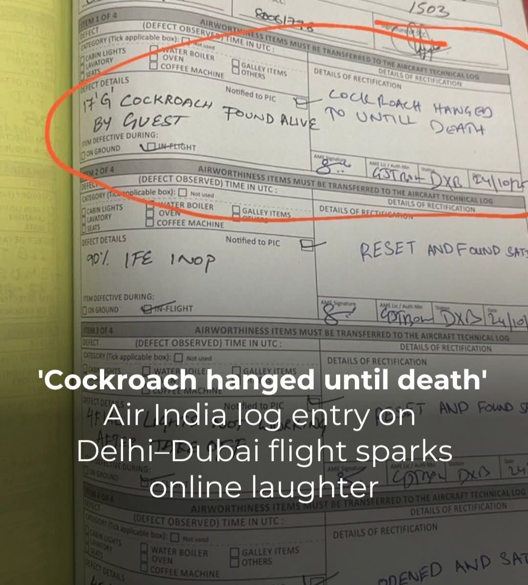 Rising - A logbook entry aboard an Air India flight from Delhi to Dubai ...
