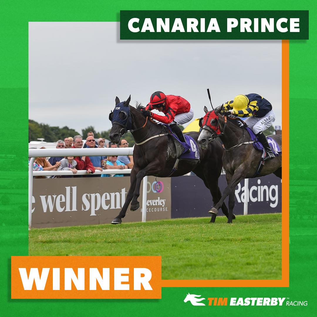 🟢 WINNER! 🟠 CANARIA PRINCE is... - Tim Easterby Racing | Facebook