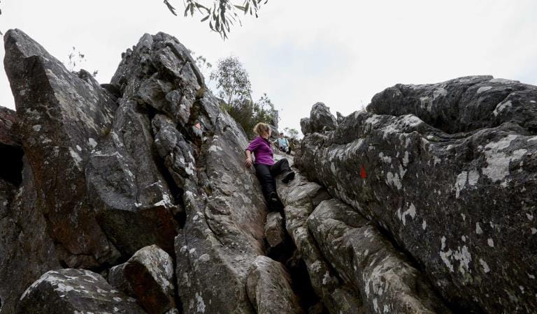 Event 1080 - Bushwalking 658 - Cathedral Range: Southern Circuit Hike