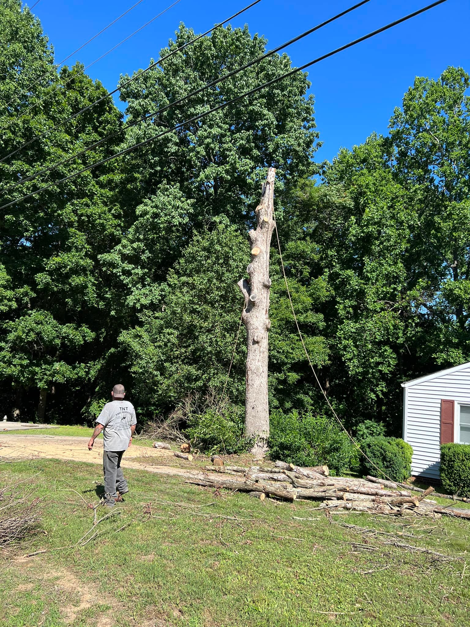 TNT Tree Service - Home