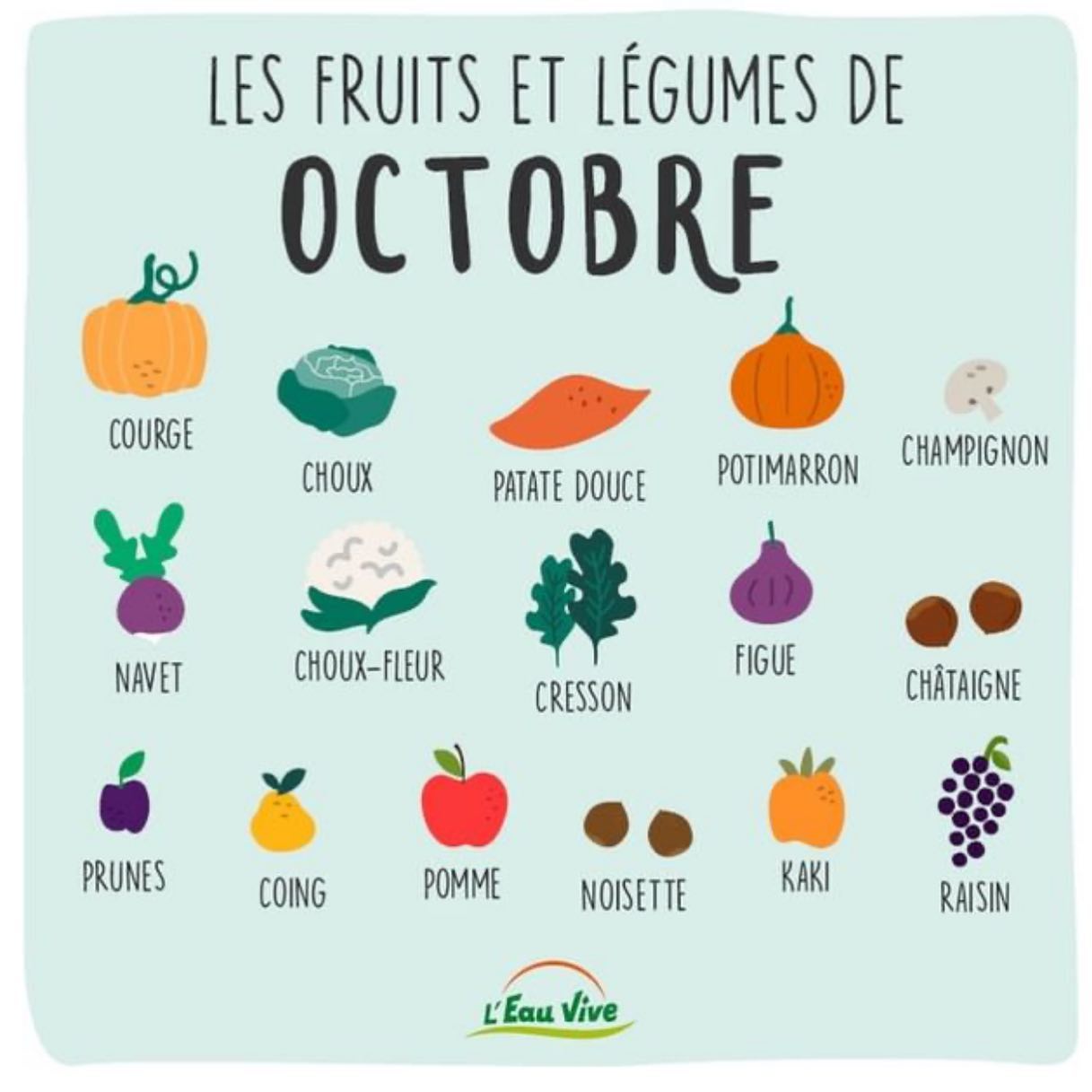 Fruitsdoctobre Explorer