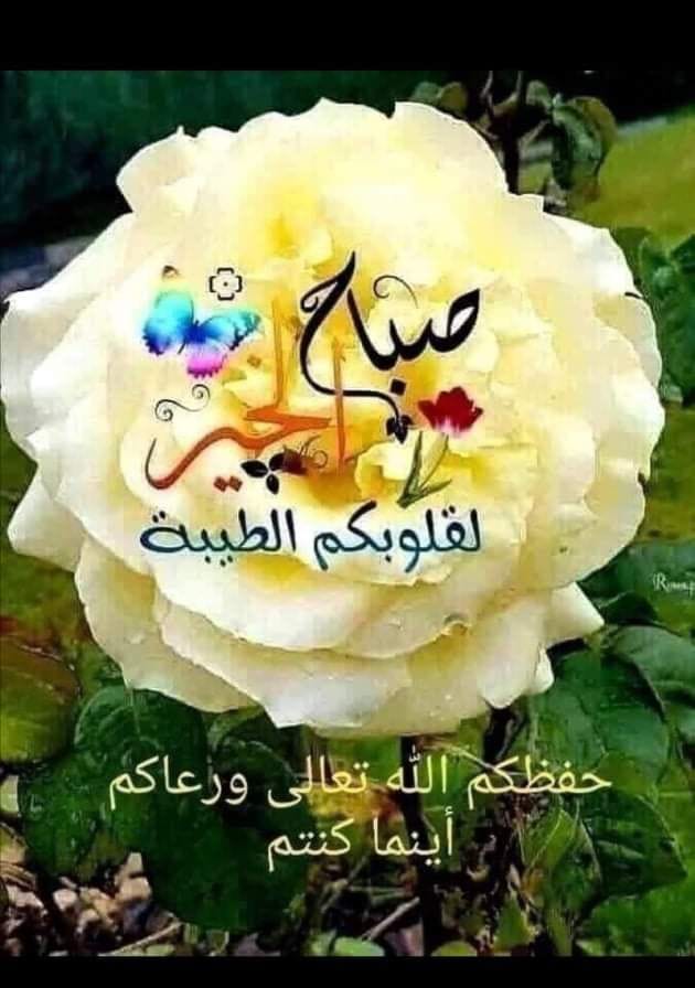 Jamal R. Rasool Al-abady