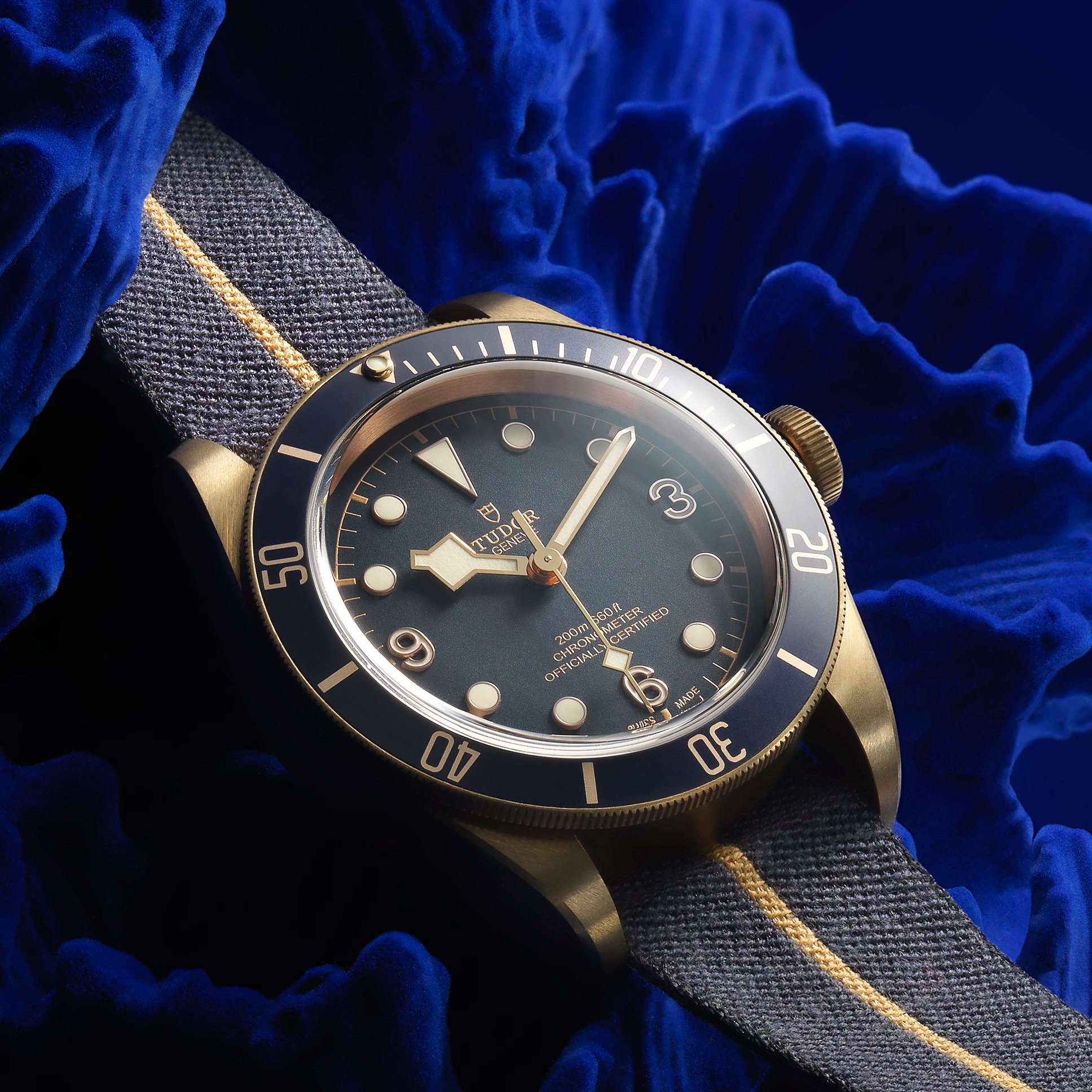 Bucherer - Deep dive: the Tudor Watch Black Bay Bronze... | Facebook