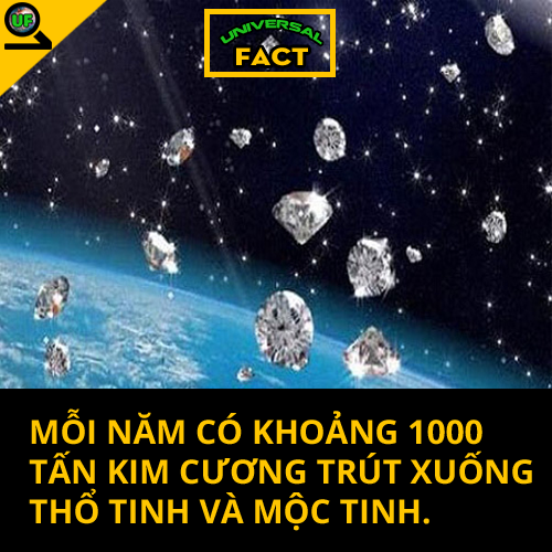 Universal Fact