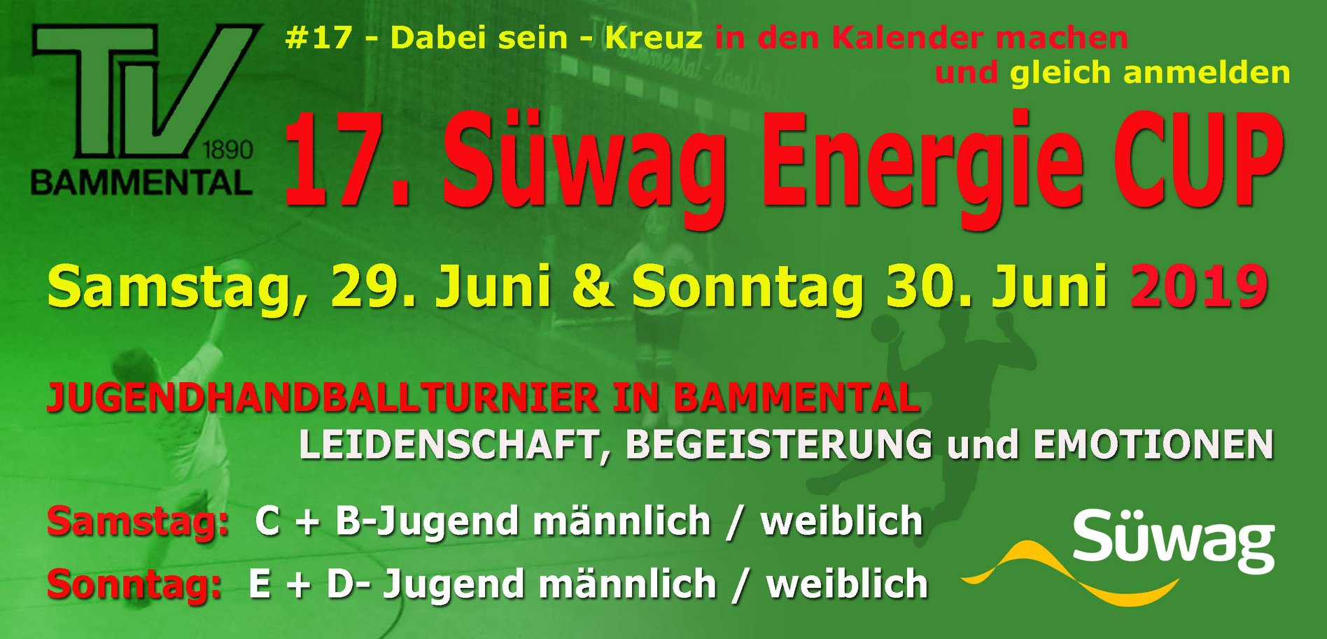 17 Suwag Energie Cup 2019 Jetzt Anmelden Tv Bammental