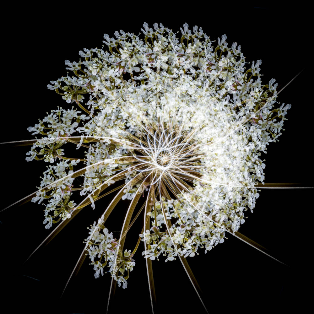 Multiple in camera exposures of... - Andy Small Photography | Facebook