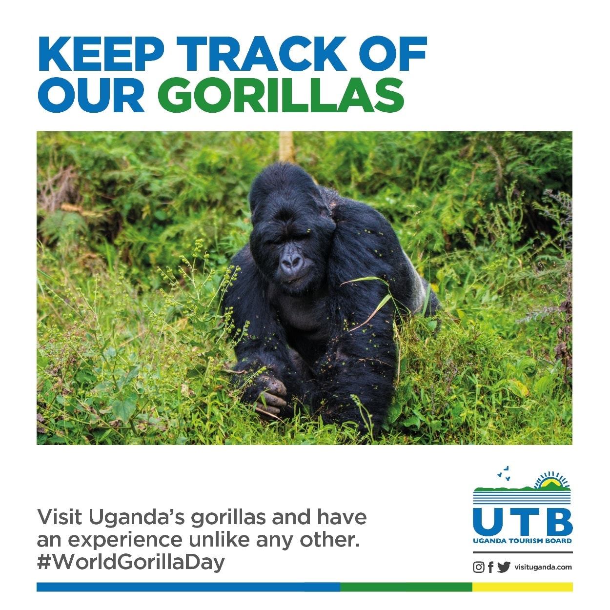 Gorilla Tembeya Safaris