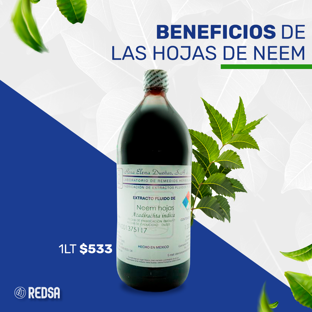 Redsa - La hoja de Neem sirve como un auxiliar para... | Facebook