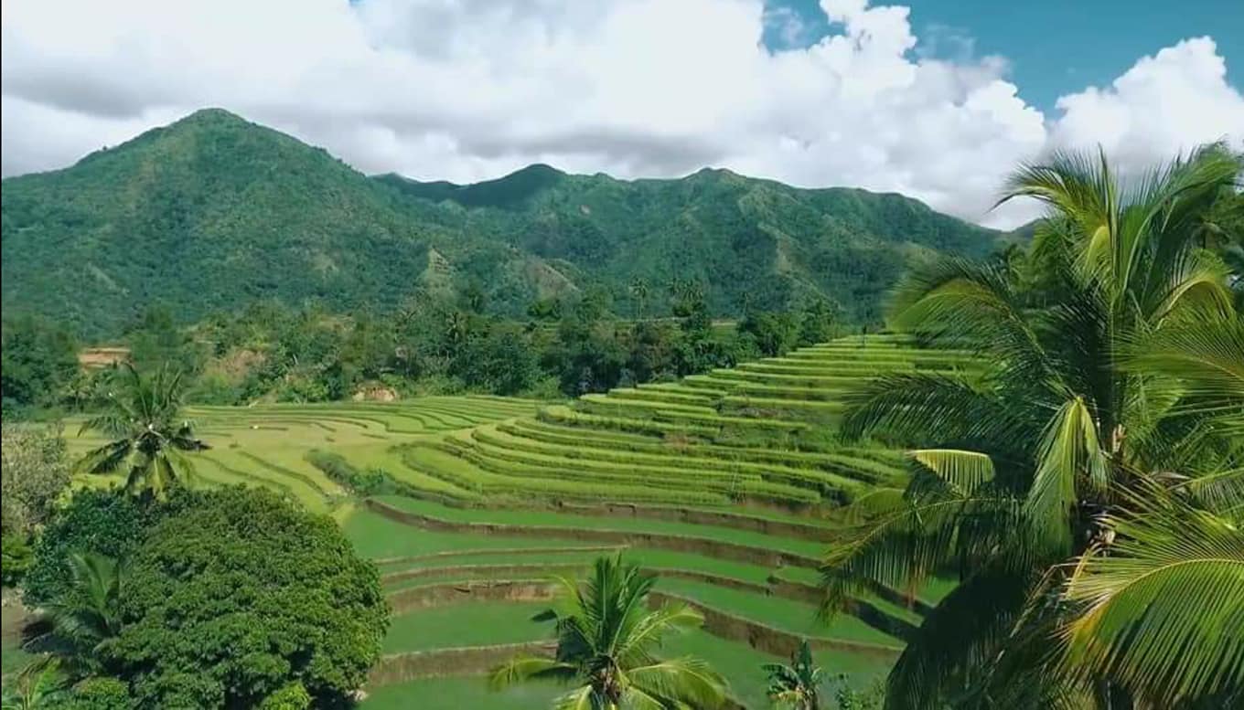 ANTIQUE RICE TERRACES 🌾... - Discover Antique, Philippines