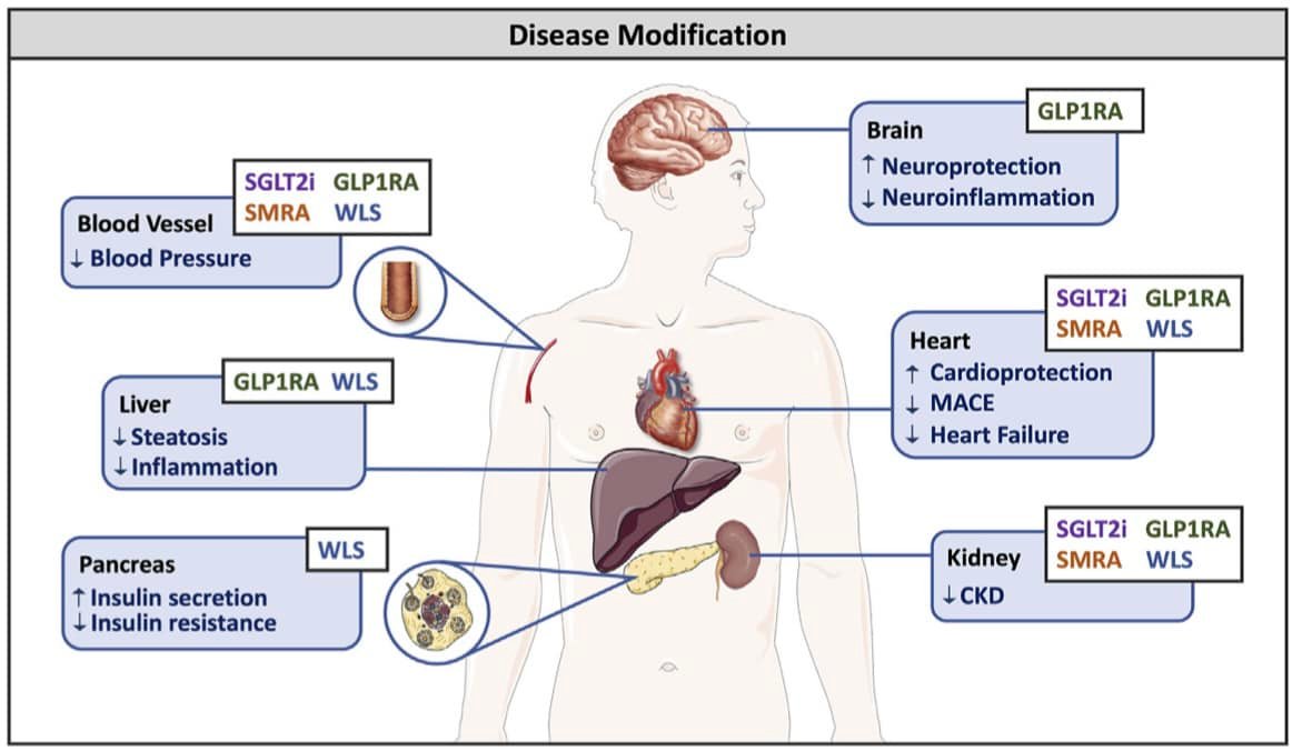 Tirzepatide (Zepbound) showed improved kidney function in obese patients with both chronic kidney disease and #heartfailure with preserved ejection fraction, highlighting its potential to address this high-risk patient population. Read more: https 