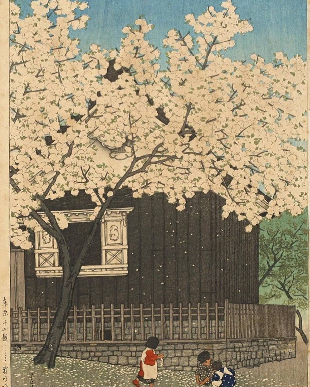 🌸🌸🌸