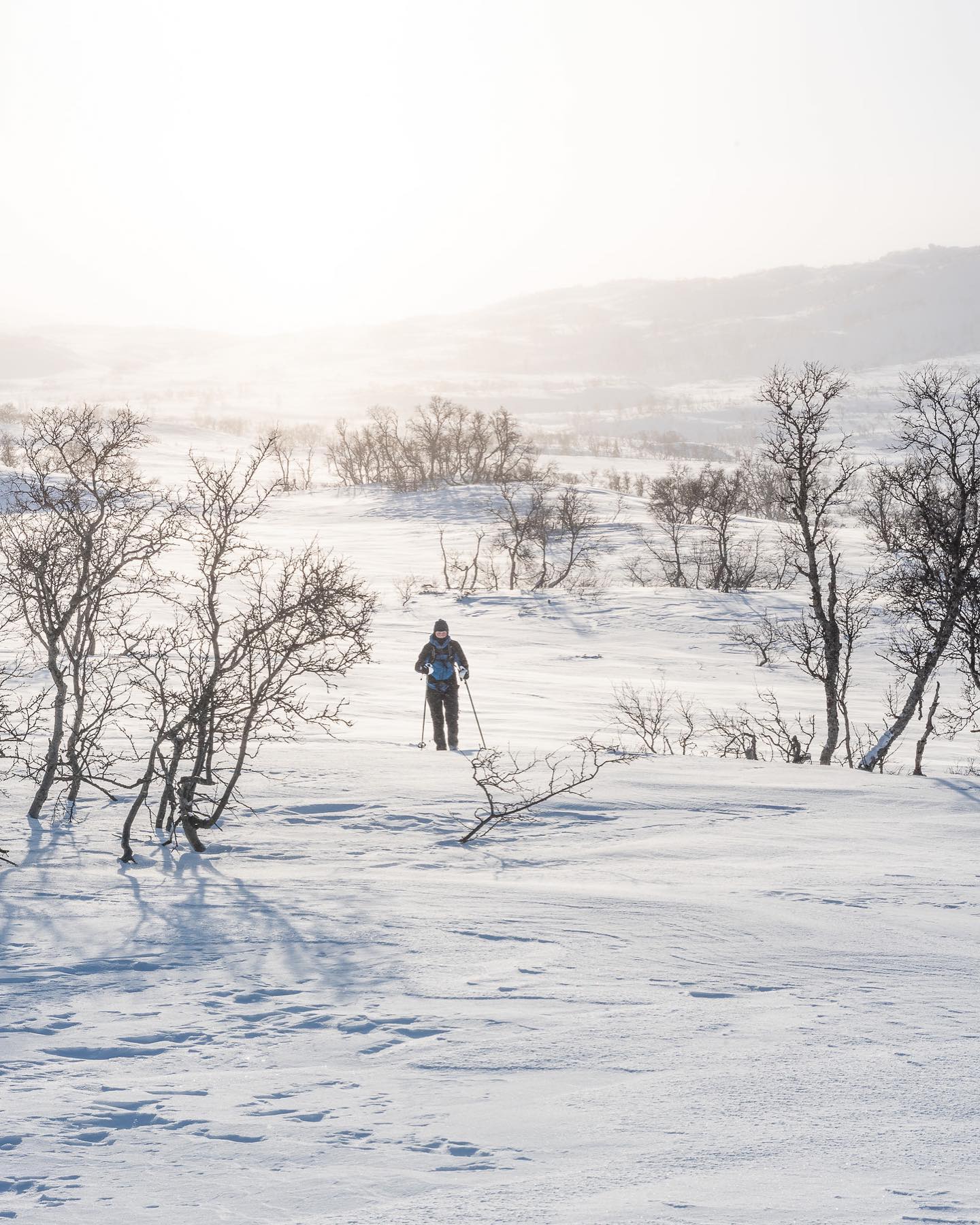 Fotograf Falke Omdal