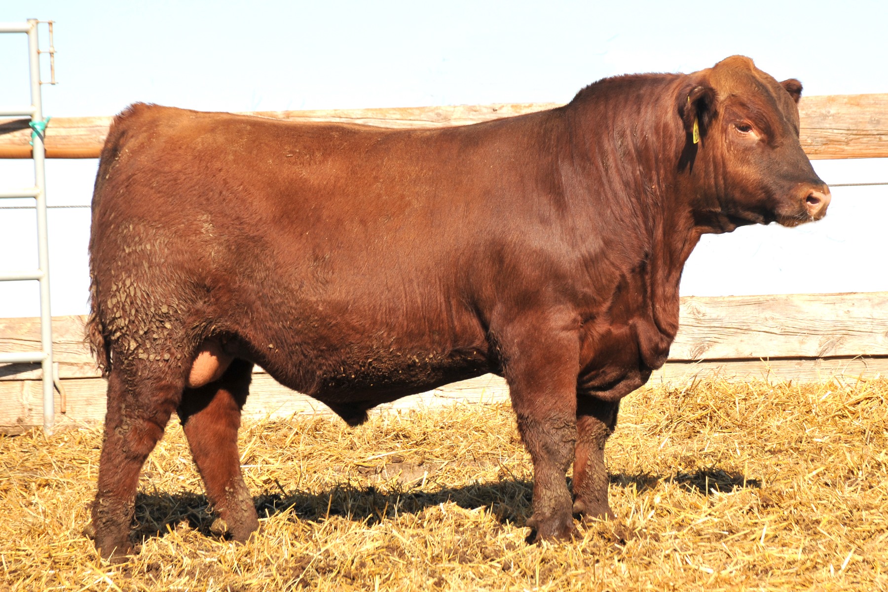 9 Mile Ranch | Touchet WA
