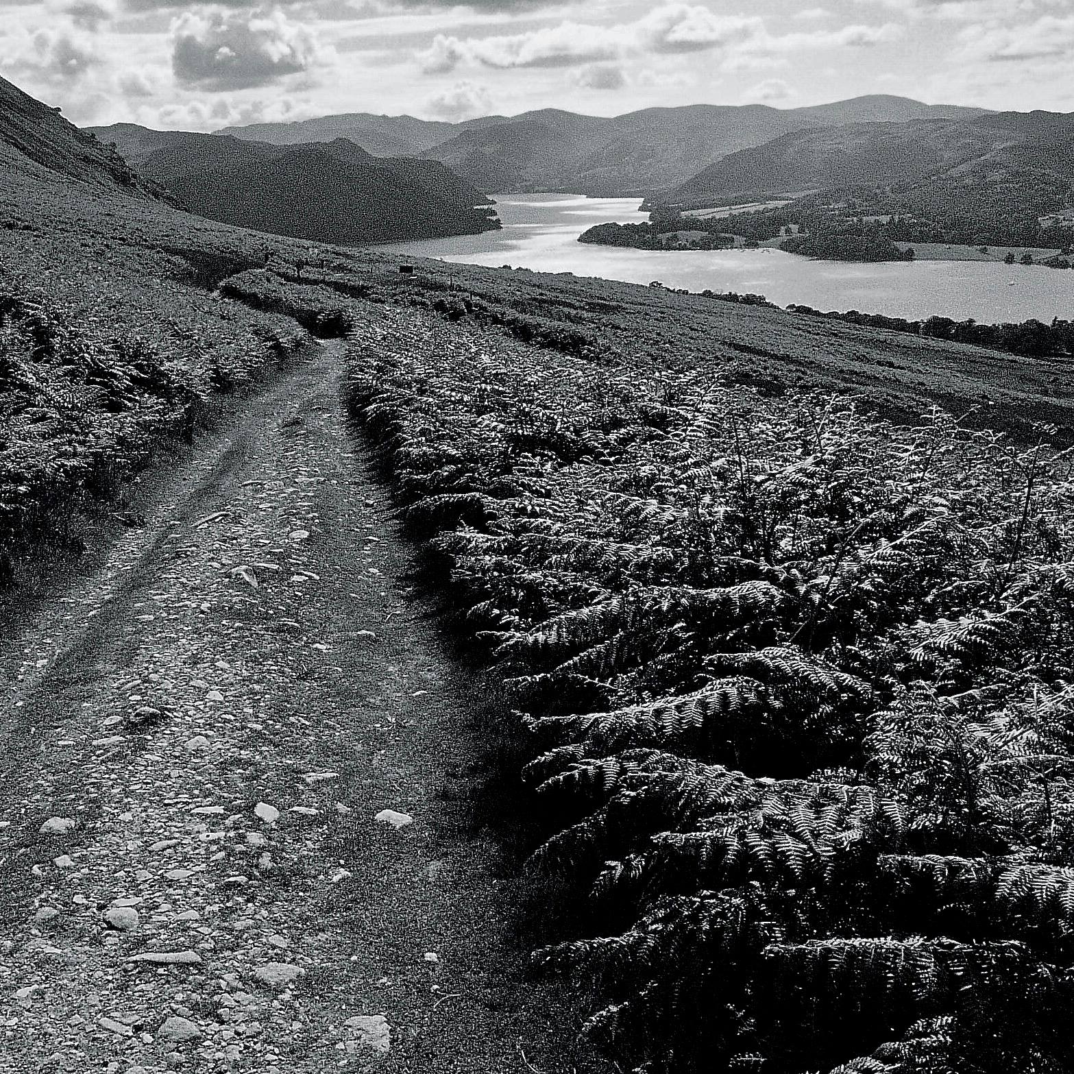 David Whyte - A PATH NOT TAKEN (In Respectful... | Facebook