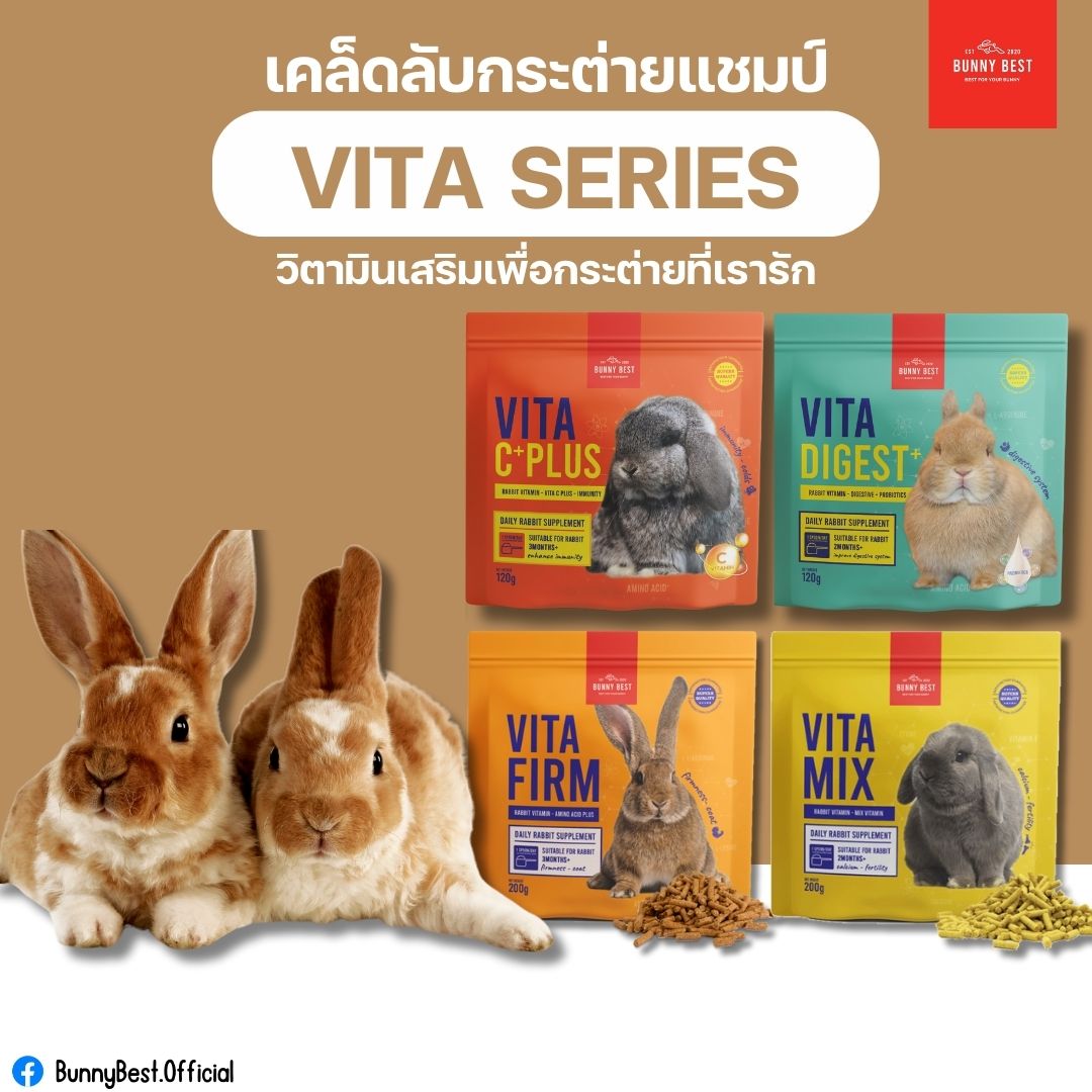 VITA SERIES ทั้ง 4 ตัว มีคุณสมบัติ... - BunnyBest.Official