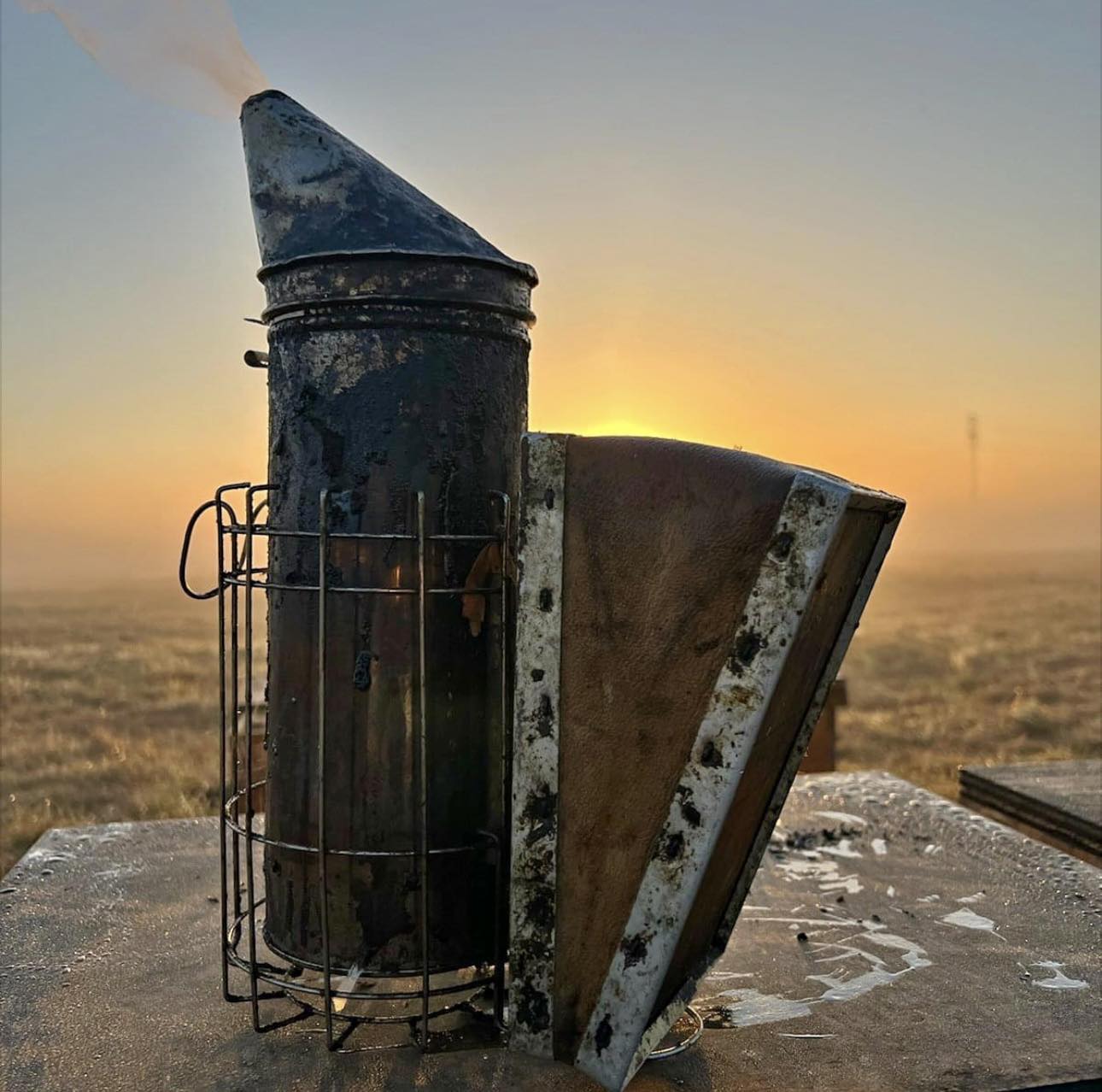 Second Hand Ranch & Apiary... - Second Hand Ranch & Apiary