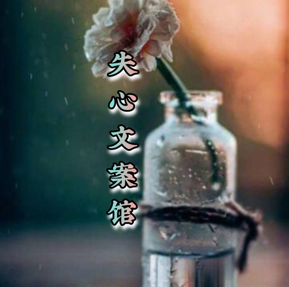 7句最扎心的话，8级心碎体验。你能撑到最后一句吗？#情感 #扎心 #伤感 #张万森听了这辈子不想再看雪 #TEAM55 # ...